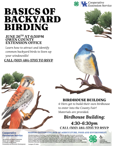 Basics of Backyard Birding
