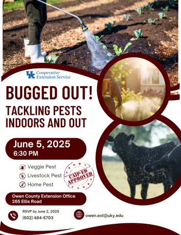 Bugged Out!