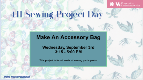 Make An Accessory Bag