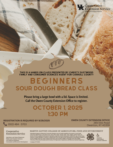 sour dough bread